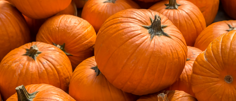 Story Time with EPMA: Pumpkin Decorating Activity