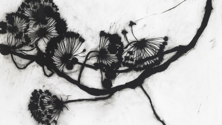 Suzi Davidoff: Wander