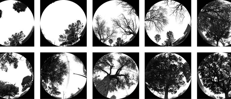 ULTRAVIOLE(N)T EXPOSURES
