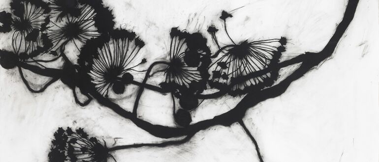 Suzi Davidoff: Wander