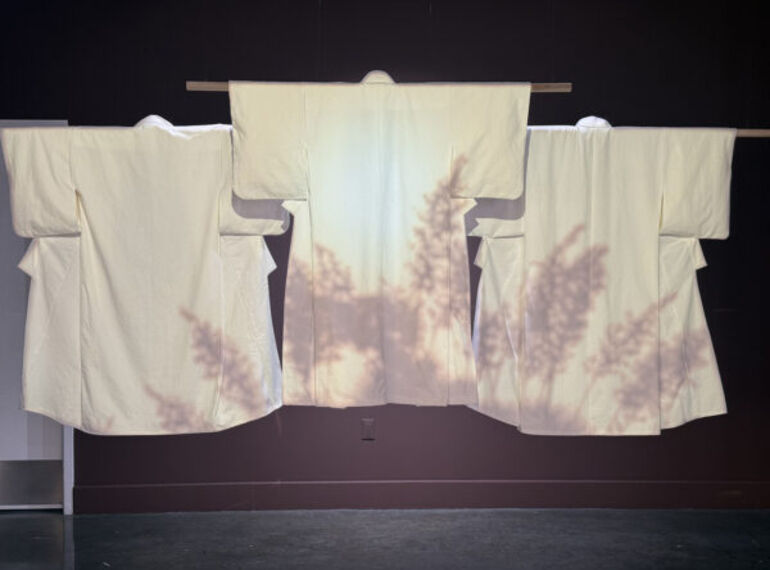 Two Shows, One Desert: On “Desert Rinpa” & “Wander” at the El Paso Museum of Art